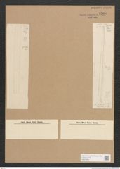 Diatomeae indet. Zeichnungen Sammlung Grunow Nr. 4500 (NHMW-BOT-W0372465)